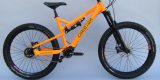 mountain bike painted in ral 2007