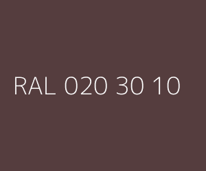 Kolor RAL 020 30 10 