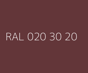 Kolor RAL 020 30 20 