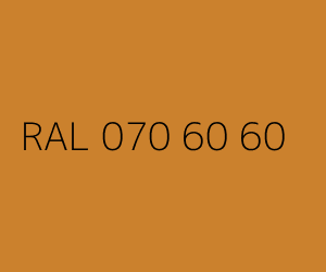 Kolor RAL 070 60 60 