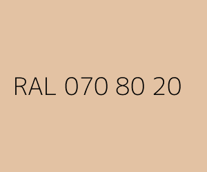 Kolor RAL 070 80 20 