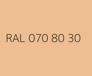 Kolor RAL 070 80 30 