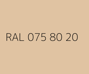 Kolor RAL 075 80 20 