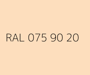 Kolor RAL 075 90 20 