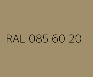 Kolor RAL 085 60 20 