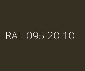 Kolor RAL 095 20 10 