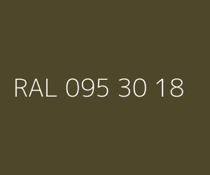 Kolor RAL 095 30 18 