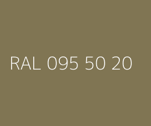 Kolor RAL 095 50 20 