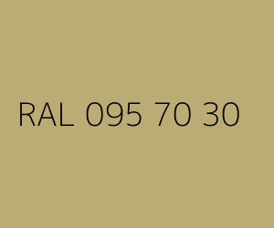 Kolor RAL 095 70 30 