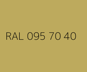 Kolor RAL 095 70 40 