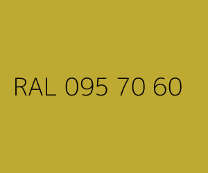 Kolor RAL 095 70 60 