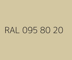 Kolor RAL 095 80 20 