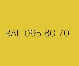 Kolor RAL 095 80 70 