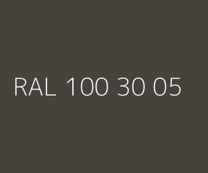 Kolor RAL 100 30 05 