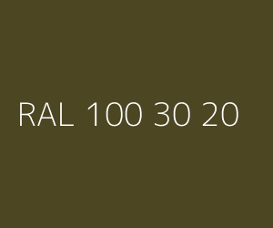 Kolor RAL 100 30 20 