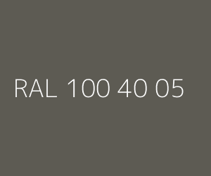 Kolor RAL 100 40 05 