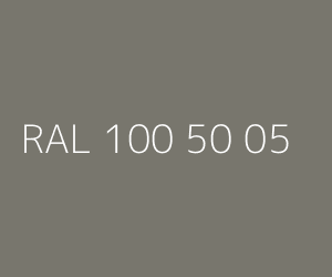 Kolor RAL 100 50 05 