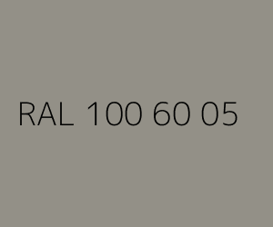 Kolor RAL 100 60 05 