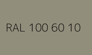Kolor RAL 100 60 10