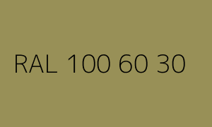 Kolor RAL 100 60 30