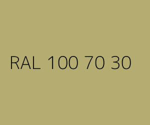 Kolor RAL 100 70 30 
