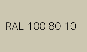 Kolor RAL 100 80 10