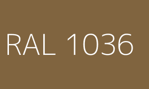 Kolor RAL 1036