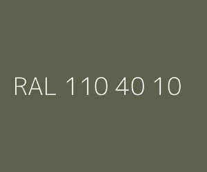 Kolor RAL 110 40 10 