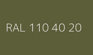 Kolor RAL 110 40 20