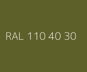 Kolor RAL 110 40 30 
