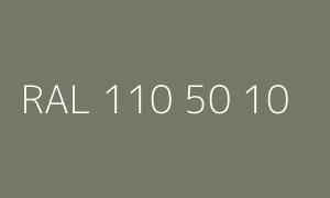 Kolor RAL 110 50 10