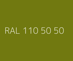 Kolor RAL 110 50 50 