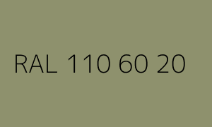 Kolor RAL 110 60 20