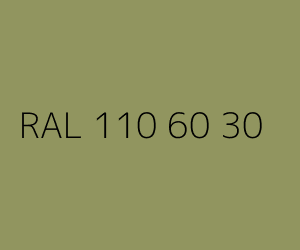Kolor RAL 110 60 30 