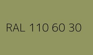 Kolor RAL 110 60 30