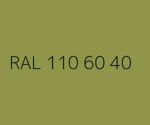 Kolor RAL 110 60 40 
