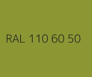 Kolor RAL 110 60 50 