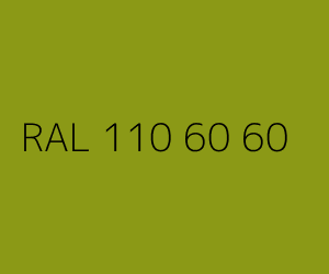 Kolor RAL 110 60 60 