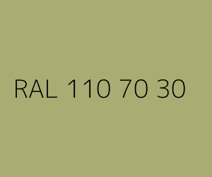 Kolor RAL 110 70 30 