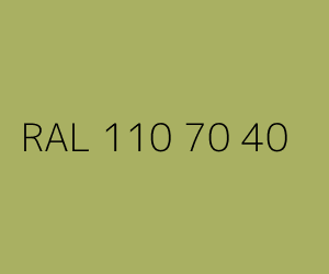 Kolor RAL 110 70 40 