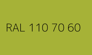 Kolor RAL 110 70 60
