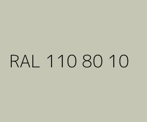 Kolor RAL 110 80 10 