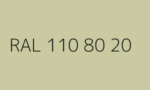 Kolor RAL 110 80 20