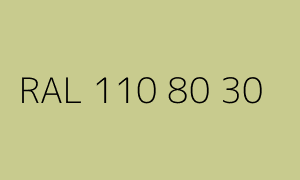 Kolor RAL 110 80 30