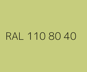 Kolor RAL 110 80 40 