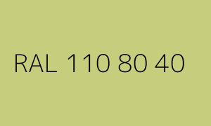 Kolor RAL 110 80 40