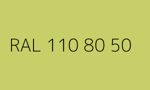 Kolor RAL 110 80 50