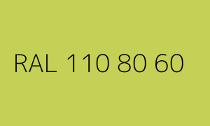 Kolor RAL 110 80 60