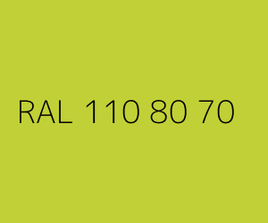 Kolor RAL 110 80 70 