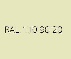 Kolor RAL 110 90 20 